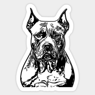 Cute dog Sticker